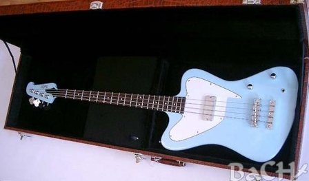 Bach Kroko oblong baskoffer, extra lang voor oa Thunderbird