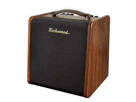 Richwood 50W akoestische gitaarversterker