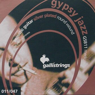 Galli Gypsy snarenset akoestisch, silverplated roundwound, medium, 011-014-023-030-039-047