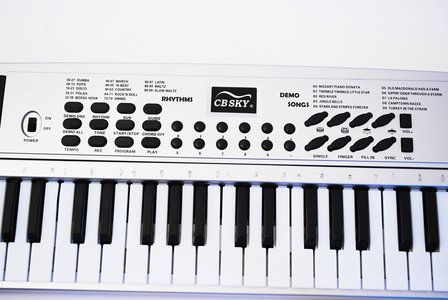 Sky Keyboard met 49 toetsen, met oa 100 sounds en rhythms en 10 demo songs