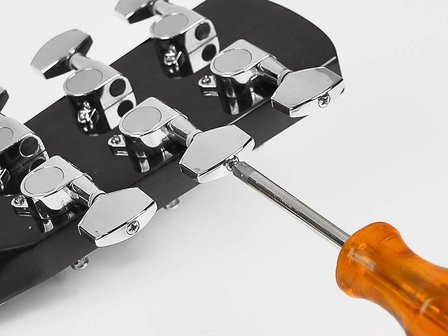 Nashville by Richwood electro-akoestische gitaar met ingebouwd stemapparaat