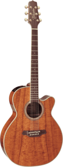 Takamine EF508KC Legacy Grand Auditorium met koffer