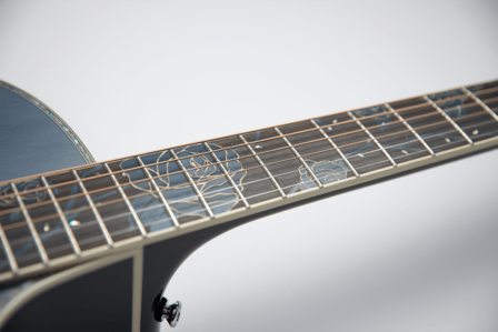 Takamine LTD-2021 Bluerose limited edition met koffer, laatste exemplaar en is op voorraad