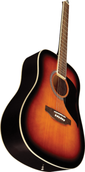 EKO Ranger 6 - Dreadnought sunburst, staalsnarig