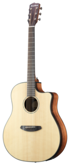 Breedlove Dreadnought Plus, Persuit Series met gigbag