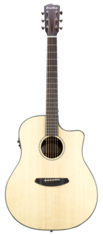 Breedlove Dreadnought Plus, Persuit Series met gigbag