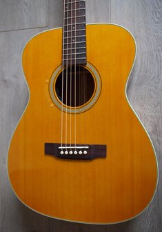 Tanglewood TW40OANE Sundance Historic Orchestra Electro