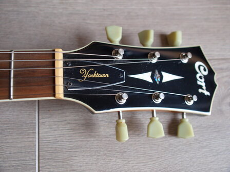 Cort Yorktown BV met Bigsby Vibrato