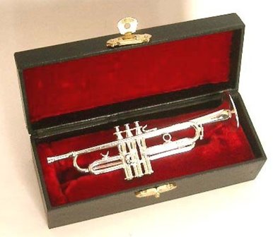 Miniatuur trompet zilver met koffer