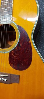 Crafter TA080/AM, Acoustic parlor guitar, solid Sitka spruce top