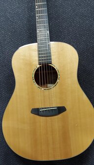 Breedlove Premier Series 21E, dreadnought met luxe koffer