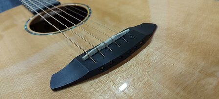 Breedlove Premier Series 21E, dreadnought met luxe koffer
