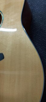 Breedlove Premier Series 21E, dreadnought met luxe koffer