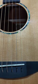 Breedlove Premier Series 21E, dreadnought met luxe koffer
