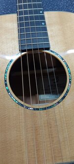 Breedlove Premier Series 21E, dreadnought met luxe koffer