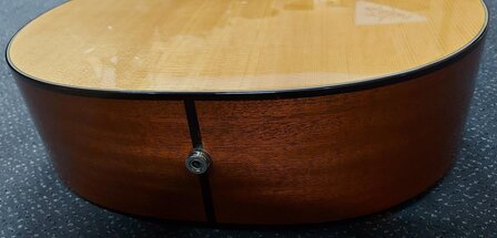 Breedlove Premier Series 21E, dreadnought met luxe koffer