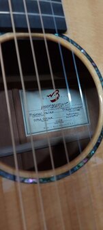 Breedlove Premier Series 21E, dreadnought met luxe koffer