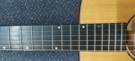 Breedlove Premier Series 21E, dreadnought met luxe koffer