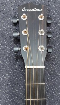 Breedlove Premier Series 21E, dreadnought met luxe koffer