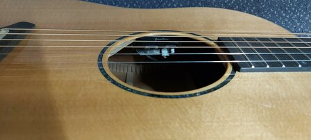Breedlove Premier Series 21E, dreadnought met luxe koffer