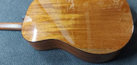 Breedlove Premier Series 21E, dreadnought met luxe koffer