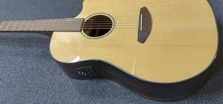 Breedlove Dreadnought Plus, Persuit Series met gigbag