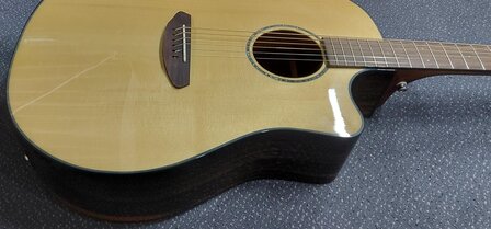Breedlove Dreadnought Plus, Persuit Series met gigbag