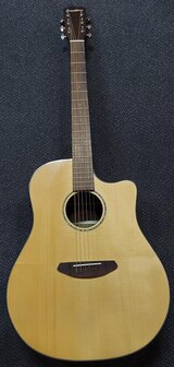Breedlove Dreadnought Plus, Persuit Series met gigbag