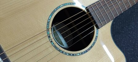 Breedlove Dreadnought Plus, Persuit Series met gigbag