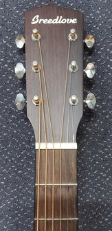 Breedlove Dreadnought Plus, Persuit Series met gigbag
