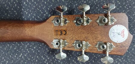 Breedlove Dreadnought Plus, Persuit Series met gigbag