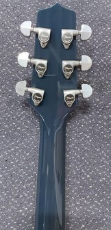 Takamine LTD-2021 Bluerose limited edition met koffer, laatste exemplaar en is op voorraad