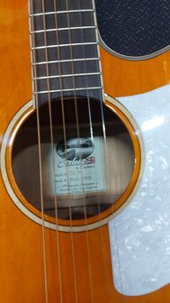 Tanglewood Super Jumbo Evolution Exotic Viscount Trans Orange nu met koffer