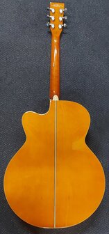 Tanglewood Super Jumbo Evolution Exotic Viscount Trans Orange nu met koffer