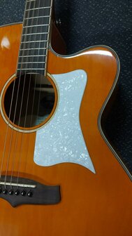 Tanglewood Super Jumbo Evolution Exotic Viscount Trans Orange nu met koffer