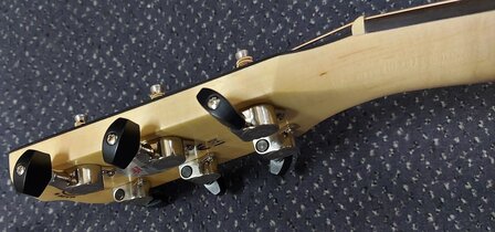 Breedlove Oregon D26E, dreadnought, inclusief luxe koffer