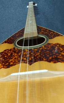 VGS Griekse bolbuik bouzouki