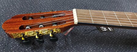 Salvador Student Series Nova CCE classic guitar cedar + sapele