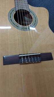 Salvador Student Series Nova CCE classic guitar cedar + sapele