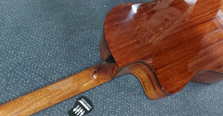 Salvador Student Series Nova CCE classic guitar cedar + sapele