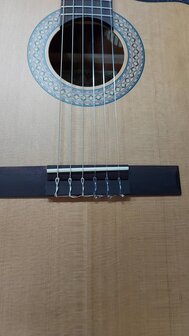 Salvador Cortez Iberia Series Luna stage guitar Fishman Clasica II
