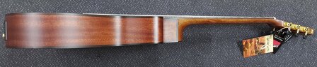Salvador Cortez Iberia Series Luna stage guitar Fishman Clasica II