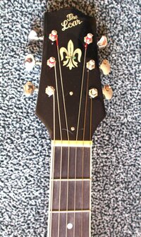 The Loar Archtop Acoustic Guitar VS LH-600-VS met element