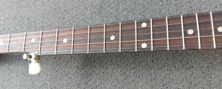 Recording King Banjo Starlight Sunbeam RKS-06-YE 5-snarig