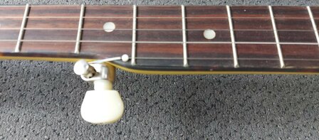 Recording King Banjo Starlight Sunbeam RKS-06-YE 5-snarig