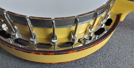 Recording King Banjo Starlight Sunbeam RKS-06-YE 5-snarig