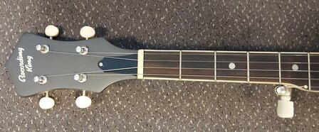 Recording King Banjo Starlight Resonator Midnight RKS-06-DBL 5-snarig