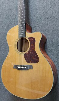 Walden Concorda CG570CE Grand Auditorium met gigbag