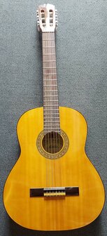 Motion WMF1005SM Flamenco, fullsize body, solid spruce top