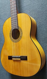 Motion WMF1005SM Flamenco, fullsize body, solid spruce top